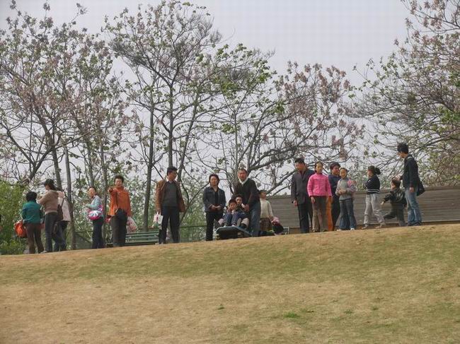 “工会组织教职工到泉山森林公园游玩
